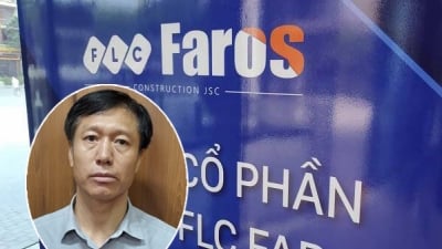 Giúp sức cho Trịnh Văn Quyết lừa đảo, Phó tổng giám đốc FLC Faros bị bắt