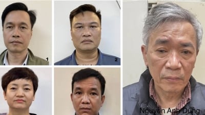 Anh trai cựu Chủ tịch AIC Nguyễn Thị Thanh Nhàn bị khởi tố