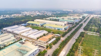 Nam Định đón thêm dự án 100 triệu USD từ doanh nghiệp Singapore