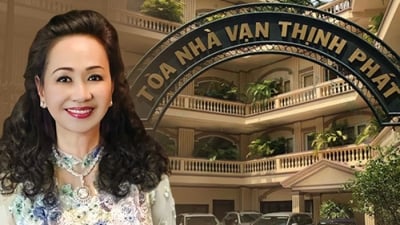 'Ma trận' tại Vạn Thịnh Phát giúp Trương Mỹ Lan sở hữu hàng triệu cổ phần