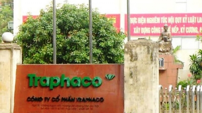 Traphaco báo lãi sau thuế 9 tháng tăng 31%, đạt hơn 140 tỷ đồng