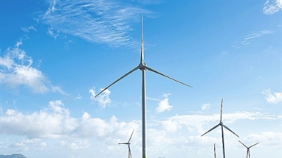 Gia Lai chấp thuận dự án điện gió Ia Boòng – Chư Prông hơn 1.600 tỷ đồng