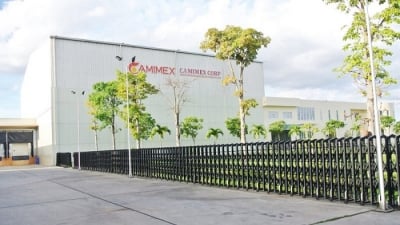 Camimex Group phát hành cổ phiếu ra công chúng, tăng vốn gấp 2 lần