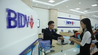 BIDV rao bán khoản nợ 232 tỷ của Hàm Rồng với giá giảm một nửa