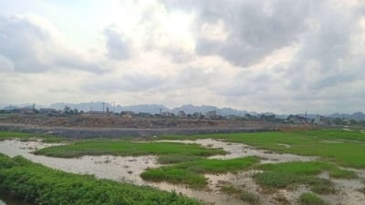 Khu đô thị mới Kim Bình (Hà Nam): Chủ đầu tư bán 'lúa non', khách hàng chịu rủi ro