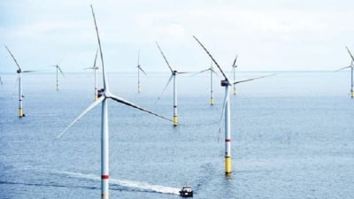 Nguy hiểm khi đăng ký 'xếp gạch' dự án điện gió ngoài khơi