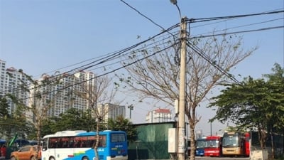 Vì sao đất dự án bỏ hoang tại Hà Nội khó thu hồi?