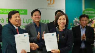 Động Lực bổ nhiệm Deloitte Vietnam làm nhà tư vấn chiến lược giai đoạn 2021-2025