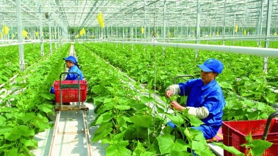 Việt Nam đứng thứ hai khu vực về tiềm năng phục hồi ngành nông nghiệp thực phẩm
