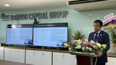 Bamboo Capital: Hiện có 3 nhà đầu tư muốn mua 60 triệu cổ phiếu phát hành riêng lẻ