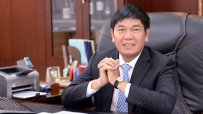 UBCKNN dừng giao dịch mua 5 triệu cổ phiếu HPG của con trai ông Trần Đình Long