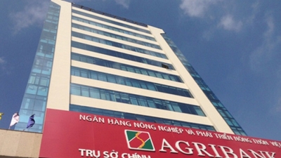 Agribank đấu giá khoản nợ 255 tỷ, tài sản bảo đảm là công trình thủy điện Bắc Giang