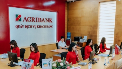 Agribank muốn bán toàn bộ hơn 3 triệu cổ phiếu CMG, dự thu 196 tỷ đồng