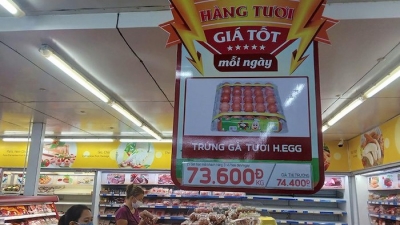 Mua thêm công ty Việt, người Thái chi phối nhiều ngành