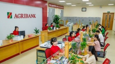Agribank đóng vai trò chủ lực trong đầu tư 'Tam nông'