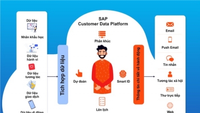 Nền tảng dữ liệu khách hàng SAP: Giải pháp thúc đẩy doanh thu