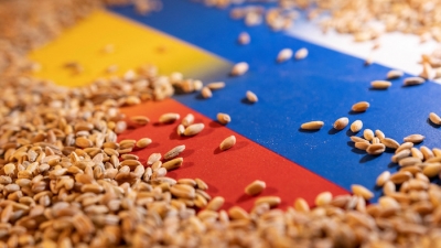 Điện Kremlin: Nga có thể cung cấp ngũ cốc thay Ukraine