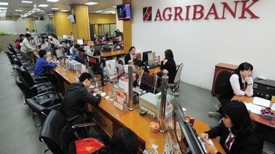 Khó khăn ngáng đường cổ phần hoá của Agribank