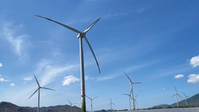 Quảng Ngãi: Dự án Điện gió Bùi Hui được đo gió thử nghiệm thêm một năm