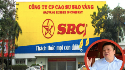 DN của đại gia Phạm Hoành Sơn thâu tóm hơn 50% cổ phần Cao su Sao Vàng