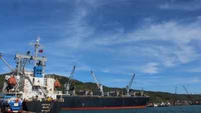 Tập đoàn Trung Quốc muốn đầu tư logistics, mở tuyến container tại cảng Vũng Áng