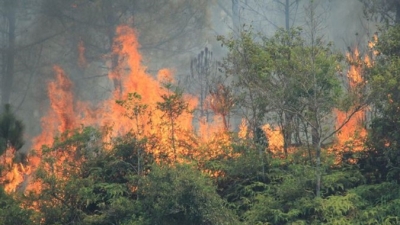 Cháy lớn tại rừng thông Hà Tĩnh: Gần 1.000 người tham gia cứu hỏa