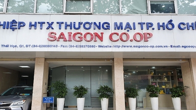 Quá trình tăng vốn điều lệ không đúng quy định của Saigon Co.op