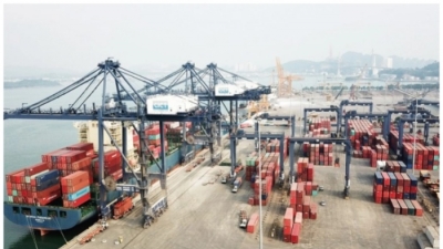 Lộ diện nhà đầu tư đăng ký làm cảng biển hơn 800 tỷ đồng ở Quảng Ninh