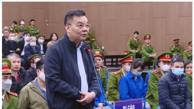Cựu Bộ trưởng Chu Ngọc Anh: 'Bị cáo chưa kịp trả tiền thì bị bắt'