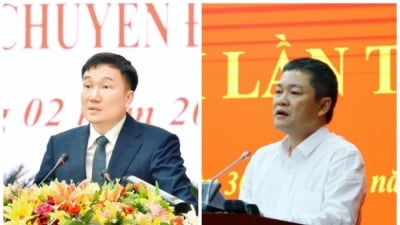 Gia Lai và Quảng Bình có thêm Phó Chủ tịch UBND mới