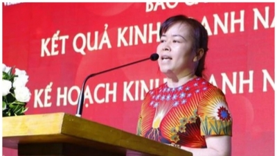 Gây thiệt hại 136 tỷ, cựu Chủ tịch Tập đoàn Vimedimex Nguyễn Thị Loan ra toà