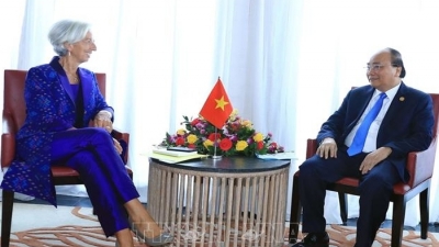 IMF tiếp tục hỗ trợ Việt Nam giữ vững ổn định kinh tế vĩ mô, thúc đẩy tăng trưởng kinh tế