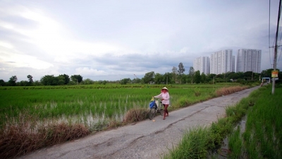 TP.Hồ Chí Minh: Công khai kế hoạch chuyển đổi 26.000ha đất nông nghiệp