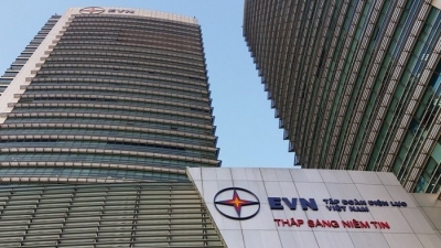 Ba nhà đầu tư đăng ký mua hơn 4 triệu cổ phần Phong điện Thuận Bình do EVN chào bán