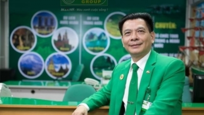 Chủ tịch Hồ Huy nắm hơn 49% cổ phần Mai Linh sau sáp nhập
