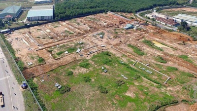 Đấu giá 50ha đất gần dự án sân bay Long Thành, Đồng Nai thu về gần 1.270 tỷ đồng