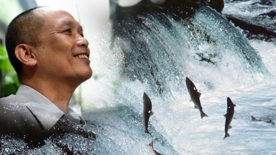 Ái Việt - Nơi ‘cá hồi’ ngược dòng tìm về nguồn cội