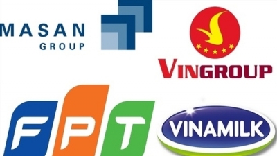 Những doanh nghiệp Việt lội ngược dòng thâu tóm ‘đại gia’ ngoại