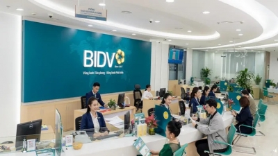 BIDV siết nợ 2 DN lớn ở Ninh Bình, đấu giá loạt nhà đất trị giá 752 tỷ đồng