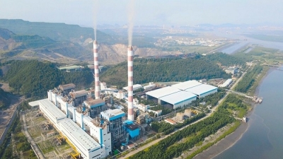 Nhiệt điện Quảng Ninh đặt mục tiêu lợi nhuận 440 tỷ, chia cổ tức 10% trong năm 2023