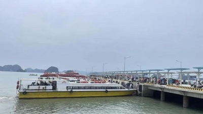 Quảng Ninh, Hải Phòng tạm dừng cấp phép cho các phương tiện du lịch trên biển
