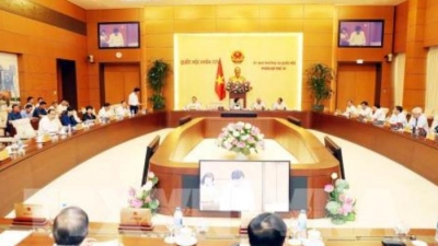 Phiên họp thứ 36 của Ủy ban Thường vụ Quốc hội: Bộ Tài chính sẽ báo cáo về Luật Chứng khoán sửa đổi