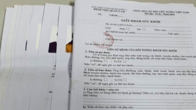 Quảng Ninh: Phát hiện nhiều vụ mua bán giấy khám sức khỏe, giấy ra viện giả