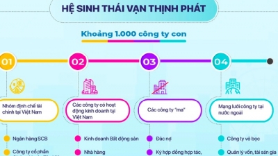 'Ma trận' doanh nghiệp liên quan Vạn Thịnh Phát và gia đình Trương Mỹ Lan