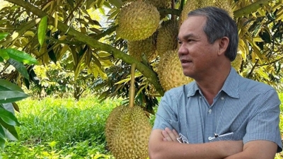 Đổ tiền vào ngành triển vọng tỷ USD, tỷ phú Việt chờ hái 'trái ngọt'