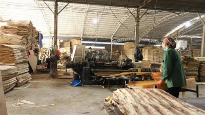 Doanh nghiệp ngành gỗ 'khốn đốn' vì sụt giảm đơn hàng, chậm hoàn thuế VAT