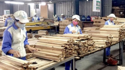 Bộ NN&PTNN đề nghị gỡ khó về hoàn thuế VAT cho doanh nghiệp ngành gỗ