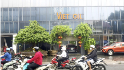 Xuyên Việt Oil bị khởi tố: Vì sao trước đó Bộ Công Thương rút khỏi danh sách thanh tra