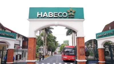 Habeco bị thanh tra việc chấp hành các quy định của Luật Phòng, chống tham nhũng