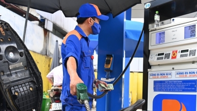 PGS. TS Trần Đình Thiên: Điều hành thị trường xăng dầu ‘đừng đổ lỗi mà hãy tìm cách’